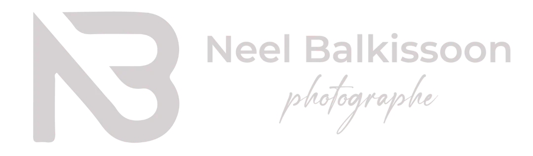 cropped-Untitled-design-23.png.b